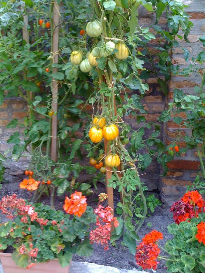 Apartamento Ca' Ermina&garden