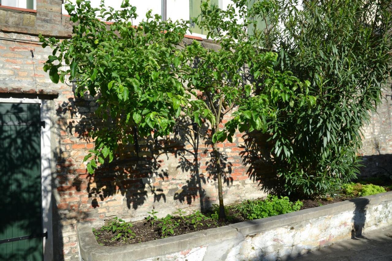Ca' Ermina&garden Apartamento Venecia